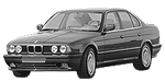 BMW E34 B110E Fault Code